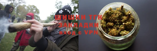 ГАЛЛЮЦИНОГЕННЫЕ ГРИБЫ Няндома