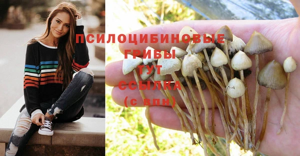 эйфоретик Нягань