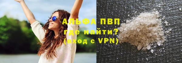ГАЛЛЮЦИНОГЕННЫЕ ГРИБЫ Няндома